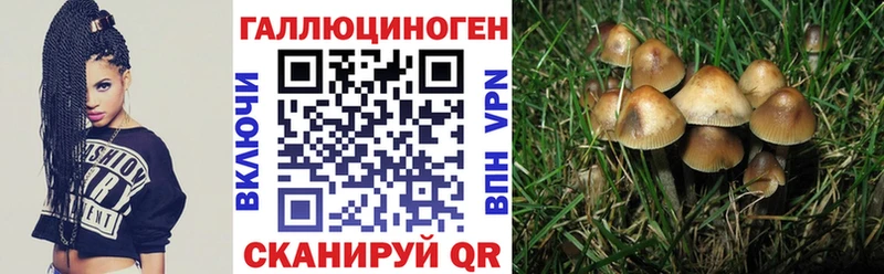 наркошоп  MEGA ссылка  Галлюциногенные грибы мухоморы  Кашин 