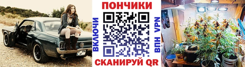 Шишки марихуана LSD WEED блэк спрут ссылка Кашин